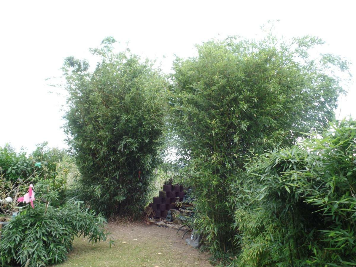 דירות Neu Sallenthin Haus Lebensart Bansin מראה חיצוני תמונה